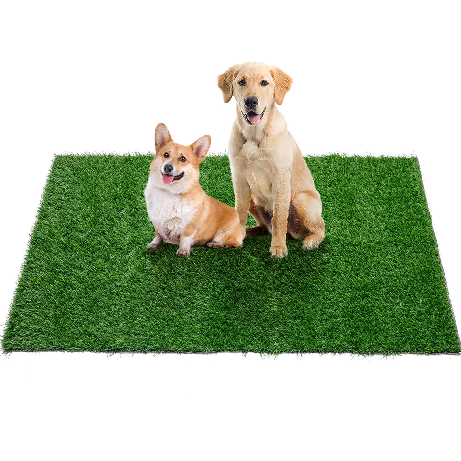 Reusable Grass Pee Mat - pawpallet