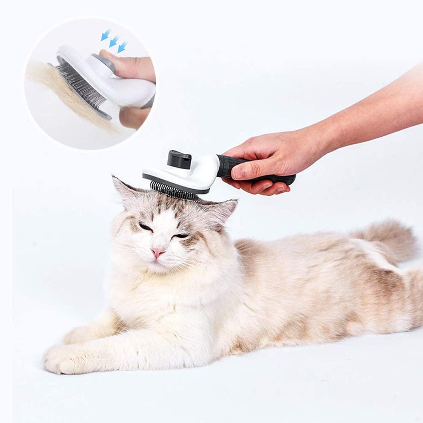 Pet Hair Removal Brush for Dogs and Cats - pawpallet