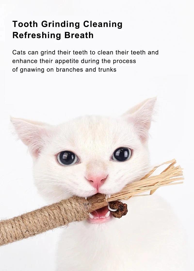 Silvervine Chew Stick for Cats & Kittens - pawpallet