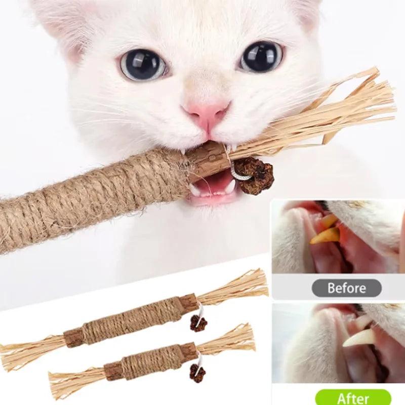 Silvervine Chew Stick for Cats & Kittens - pawpallet