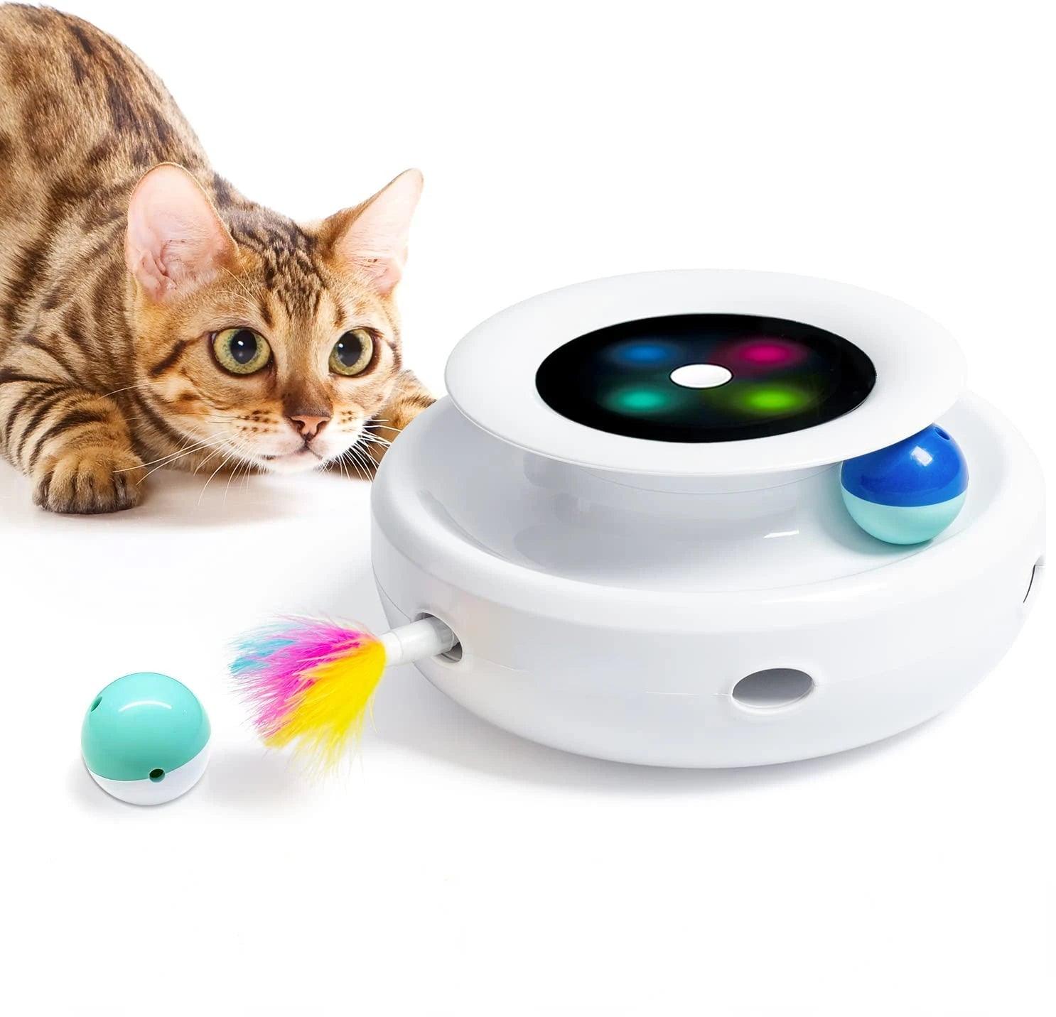 2-in-1 Interactive Pet Toy - pawpallet