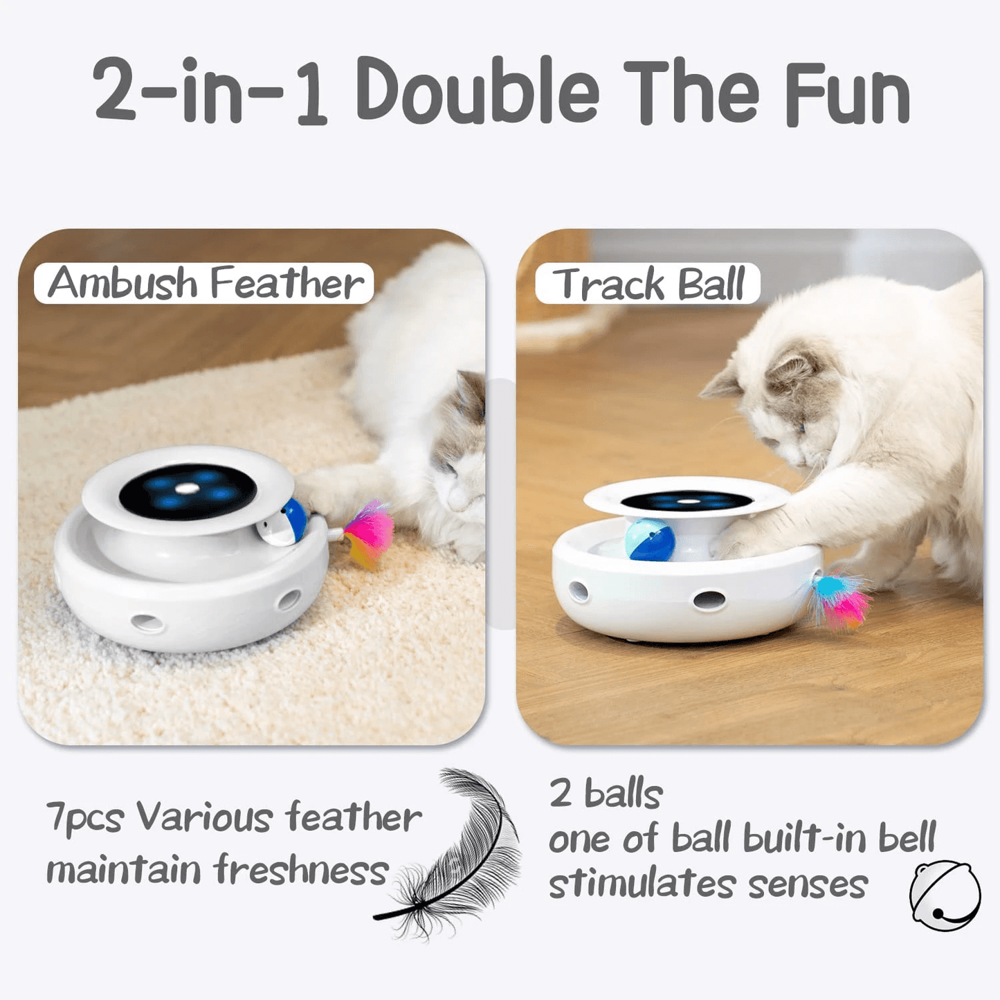 2-in-1 Interactive Pet Toy - pawpallet