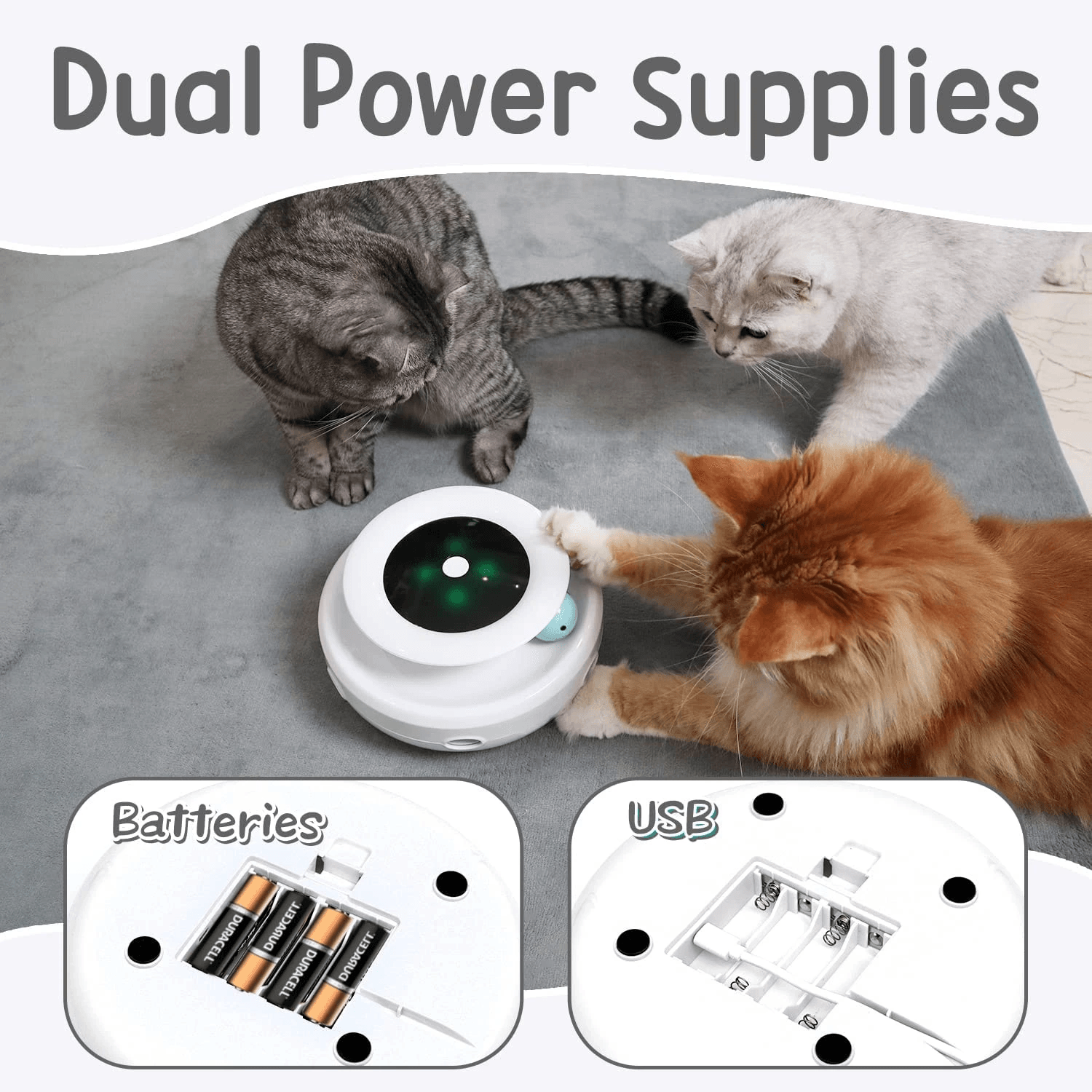 2-in-1 Interactive Pet Toy - pawpallet