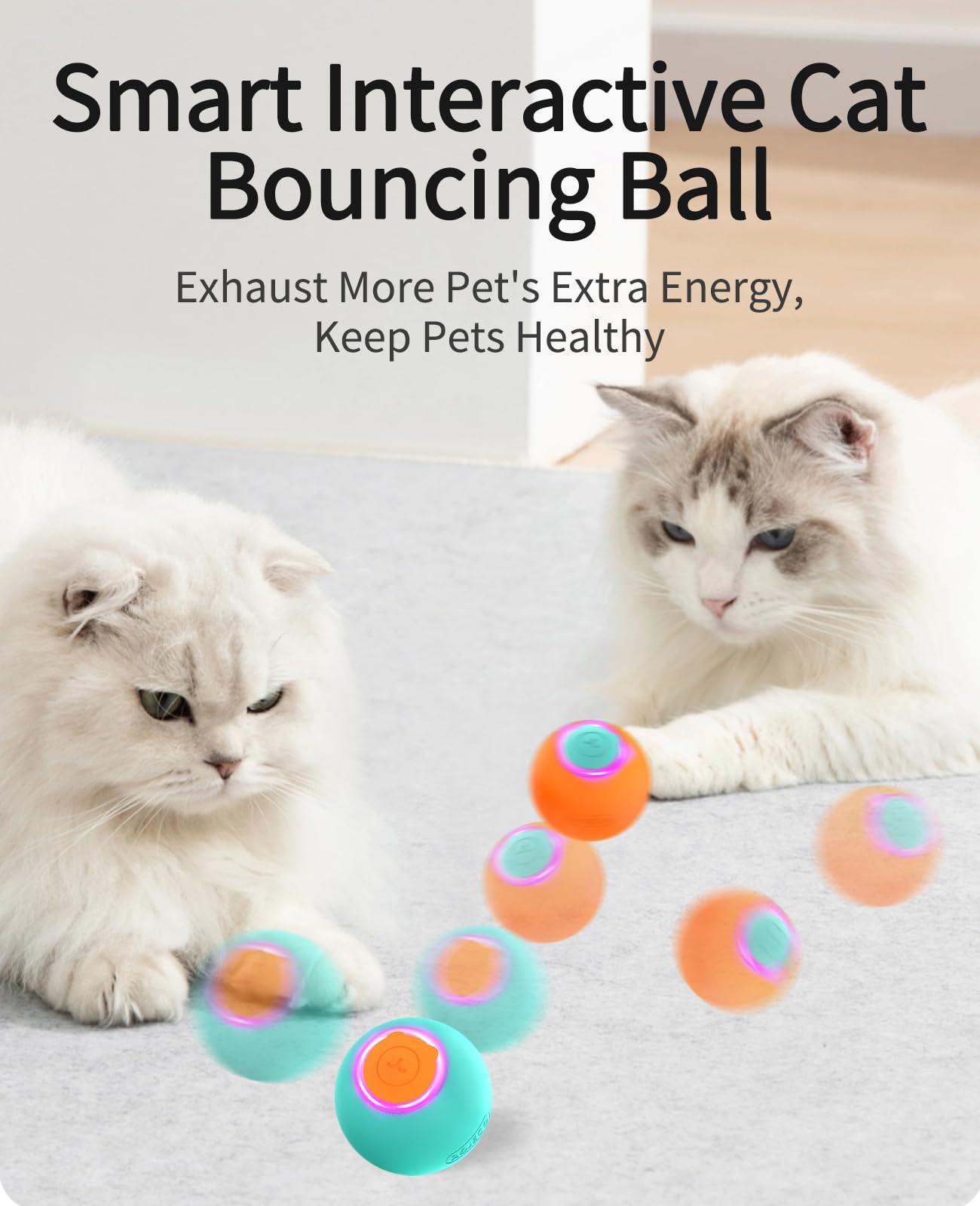 360° Auto-Rolling Smart Cat Toy - pawpallet