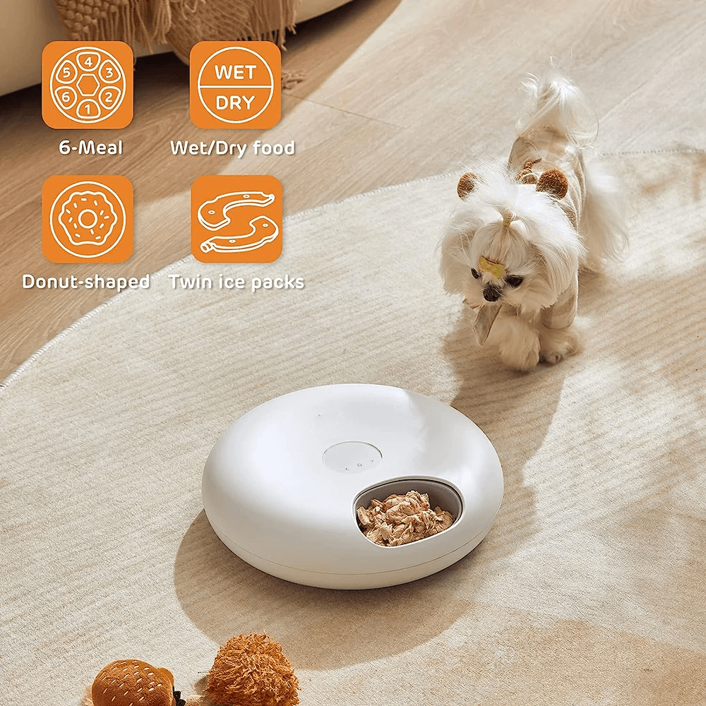 6-Meal Automatic Pet Feeder - pawpallet