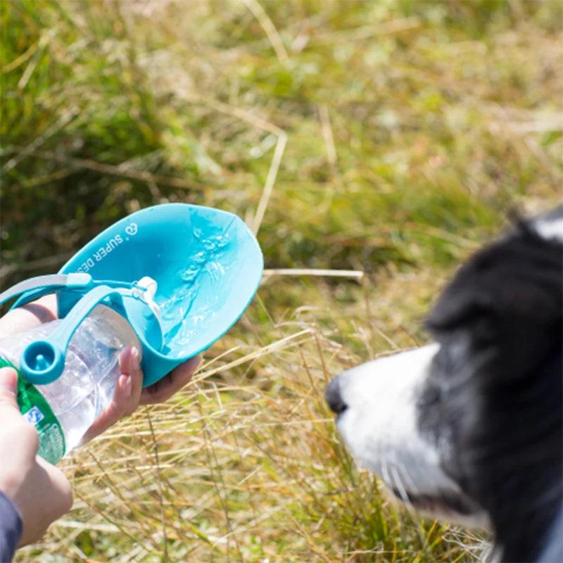 Portable Pet Water Bottle - pawpallet