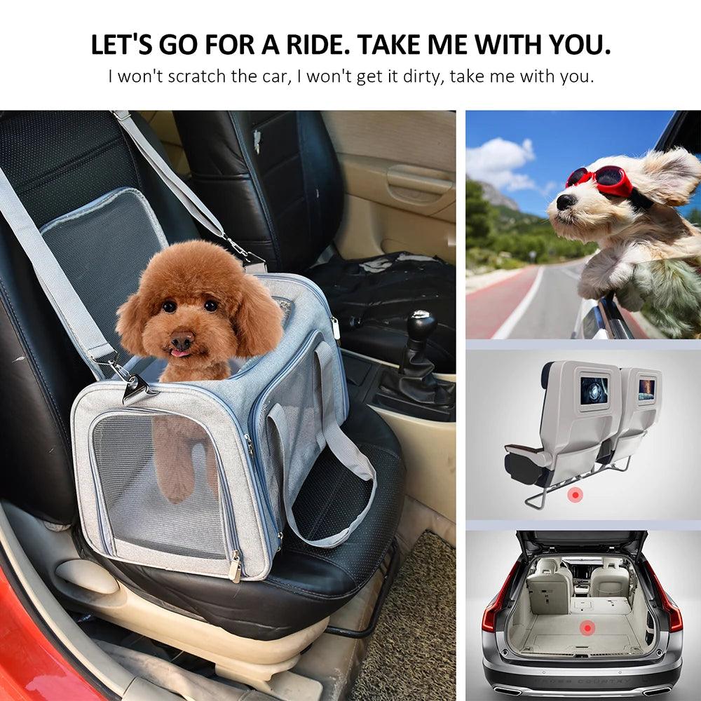 PawPort Soft-Sided Travel Carrier - pawpallet