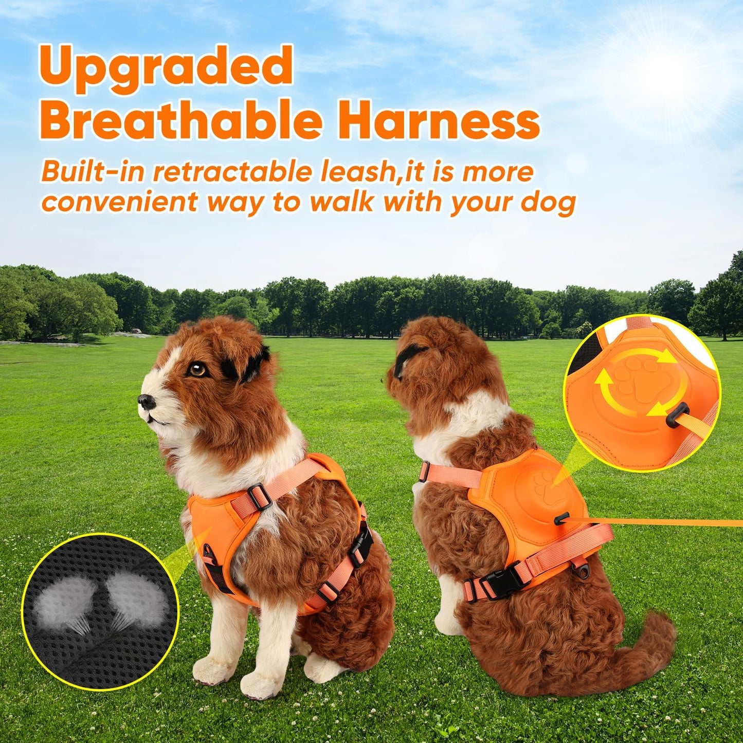 Anti-Burst Dog Harness Set - pawpallet