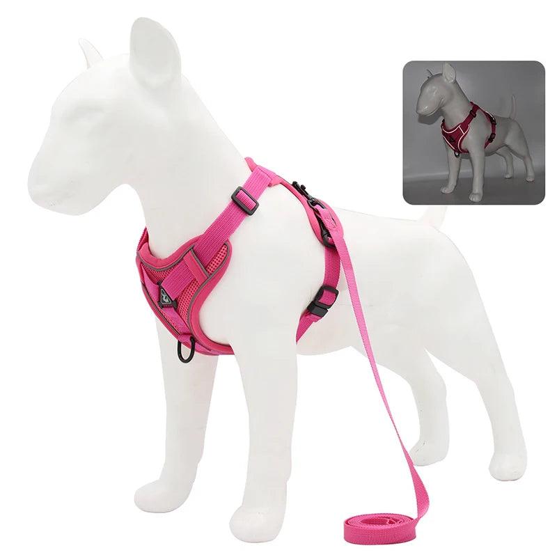 No-Pull Harness & Leash Set for Small Dogs - pawpallet