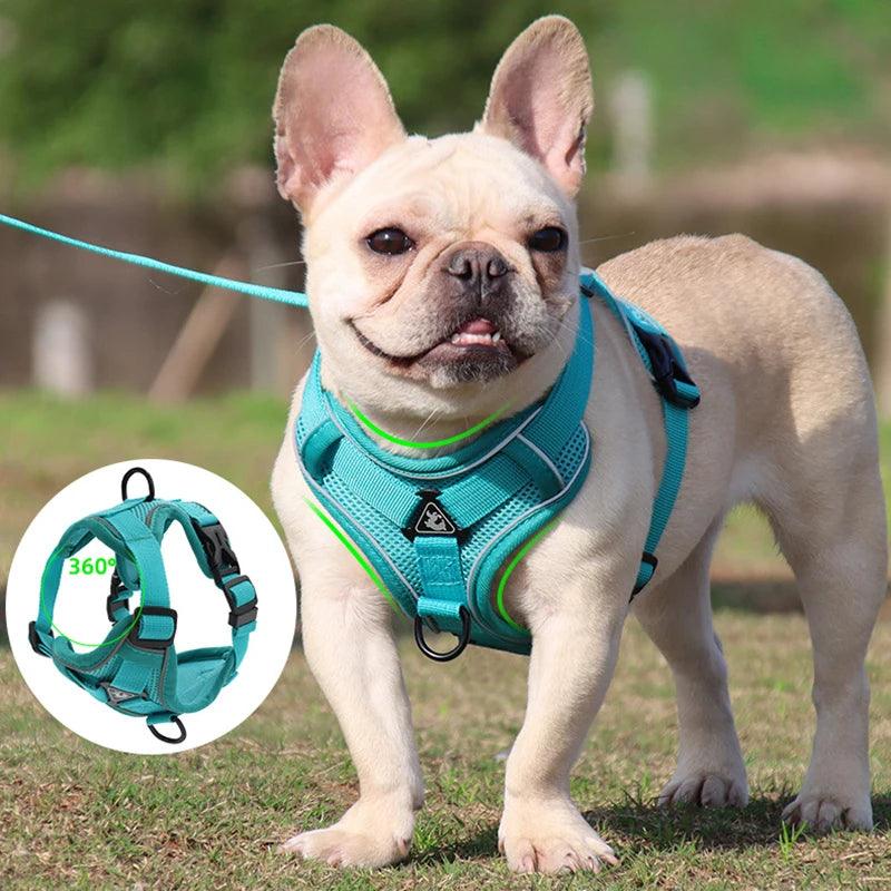 No-Pull Harness & Leash Set for Small Dogs - pawpallet