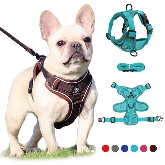 No-Pull Harness & Leash Set for Small Dogs - pawpallet