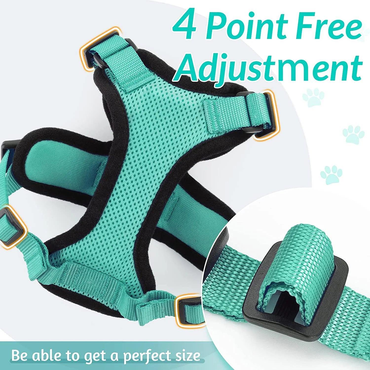 Cat Harness and Leash for Walking - pawpallet