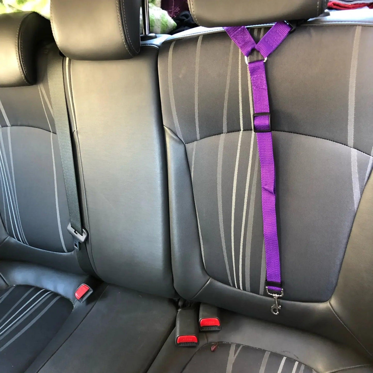 Adjustable Pet Safety Seat Belt & Leash for Dogs and Cats - pawpallet