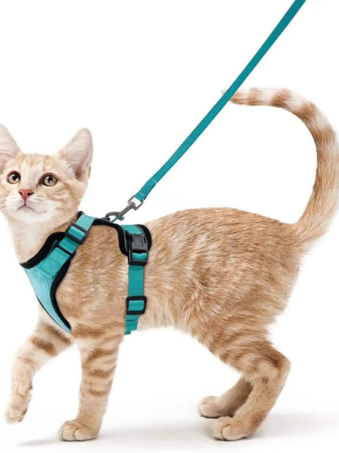 Cat Harness and Leash for Walking - pawpallet