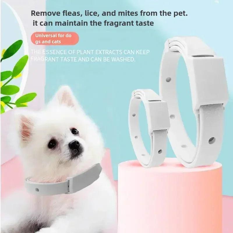 Pet Flea Collar - pawpallet