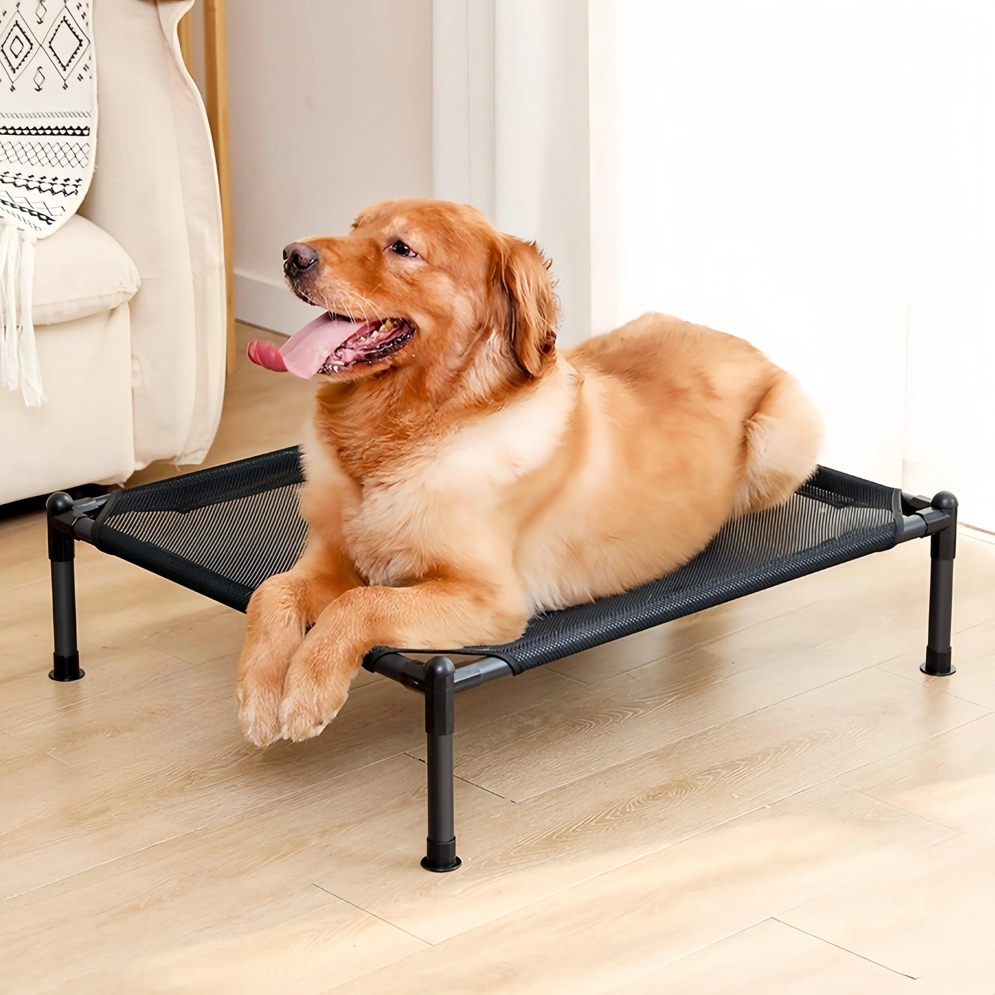 ComfyCamp Elevated Pet Bed - pawpallet