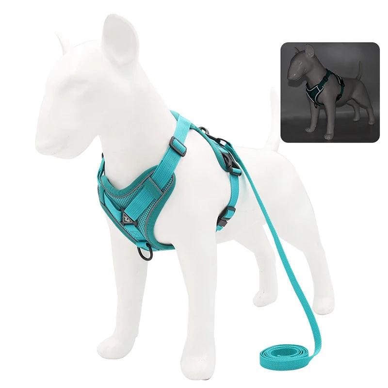 No-Pull Harness & Leash Set for Small Dogs - pawpallet