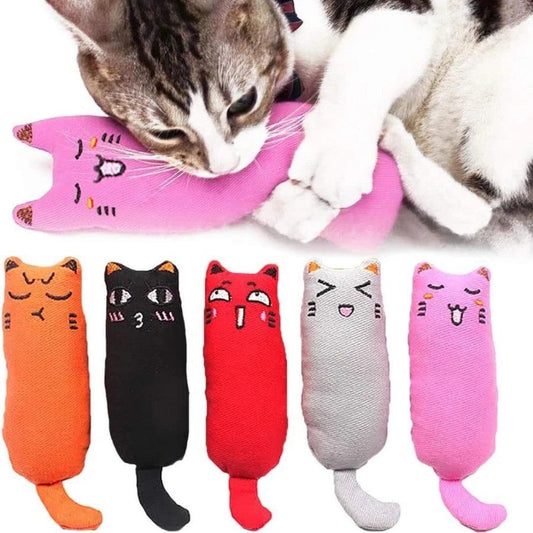 Funny Catnip Chew Toy for Cats & Kittens - pawpallet