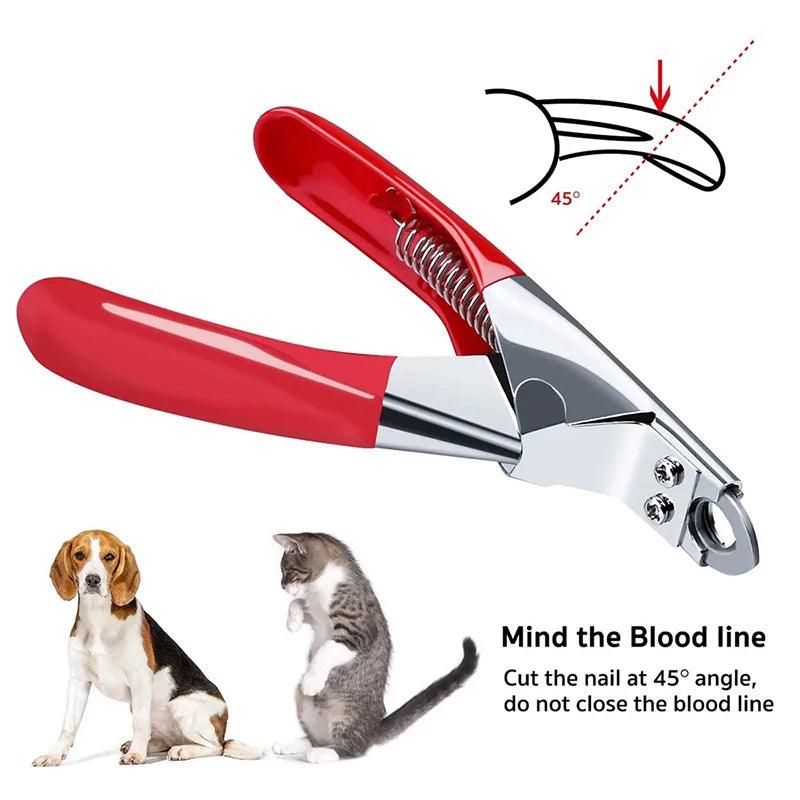 Professional Stainless Steel Pet Nail Trimmer - pawpallet