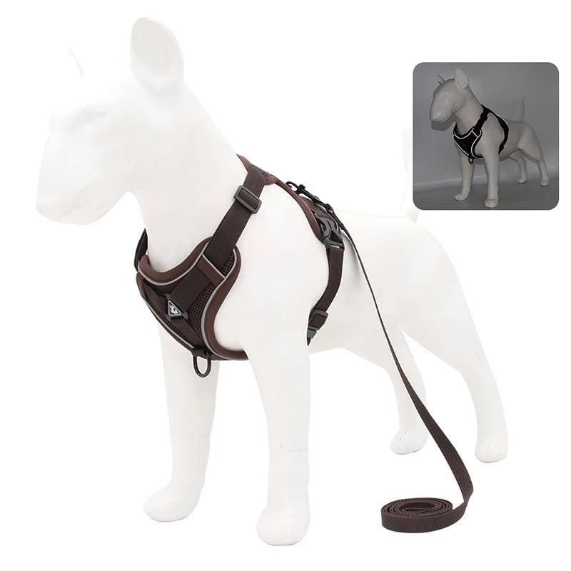 No-Pull Harness & Leash Set for Small Dogs - pawpallet