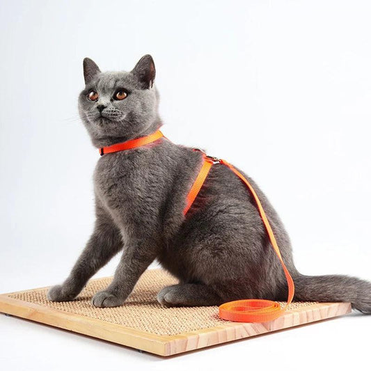 CatComfort Outdoor Harness - pawpallet