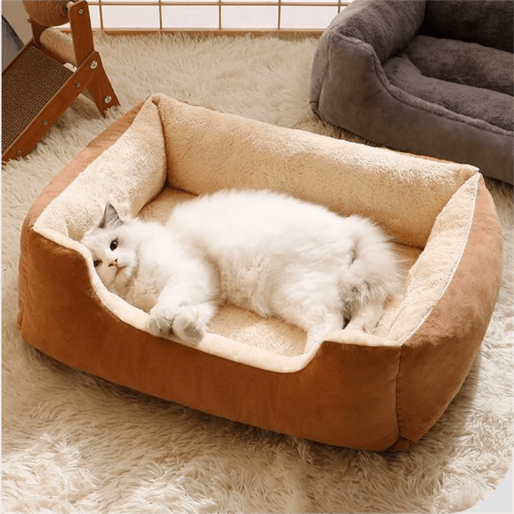 CozyCube Cat Sofa - pawpallet