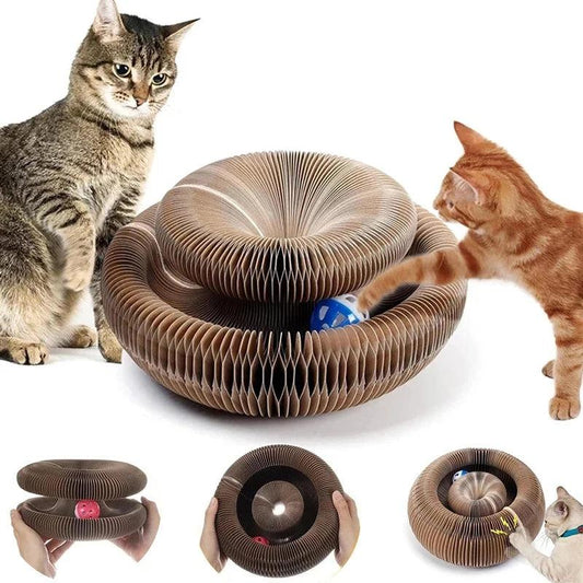 Magic Organ Cat Scratcher & Claw Grinder - pawpallet