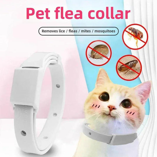 Pet Flea Collar - pawpallet