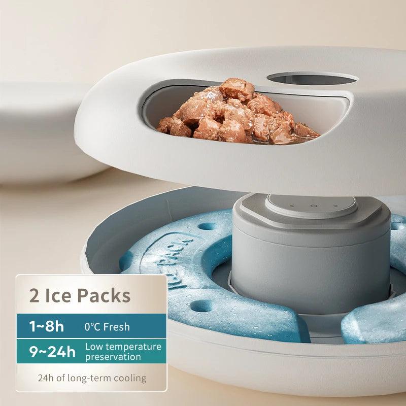 6-Meal Automatic Pet Feeder - pawpallet