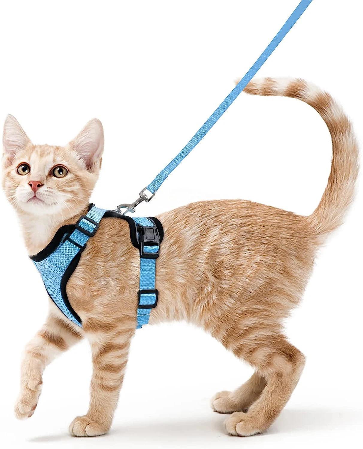 Cat Harness and Leash for Walking - pawpallet