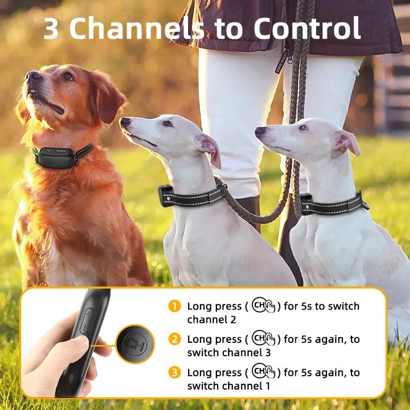 Digital Dog Training Collar - pawpallet