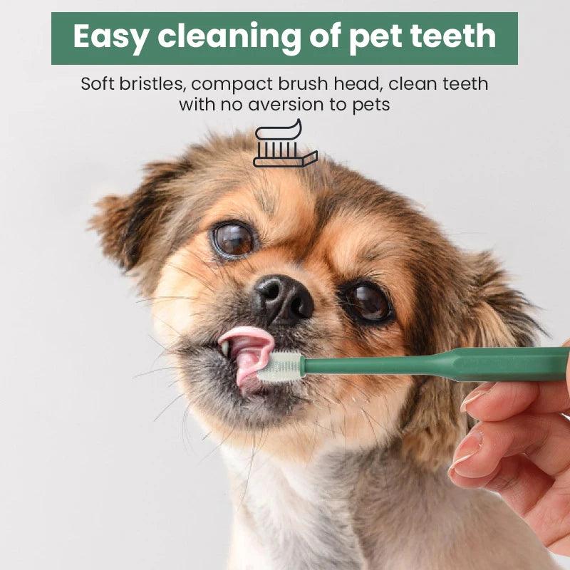 Pet Toothbrush - pawpallet