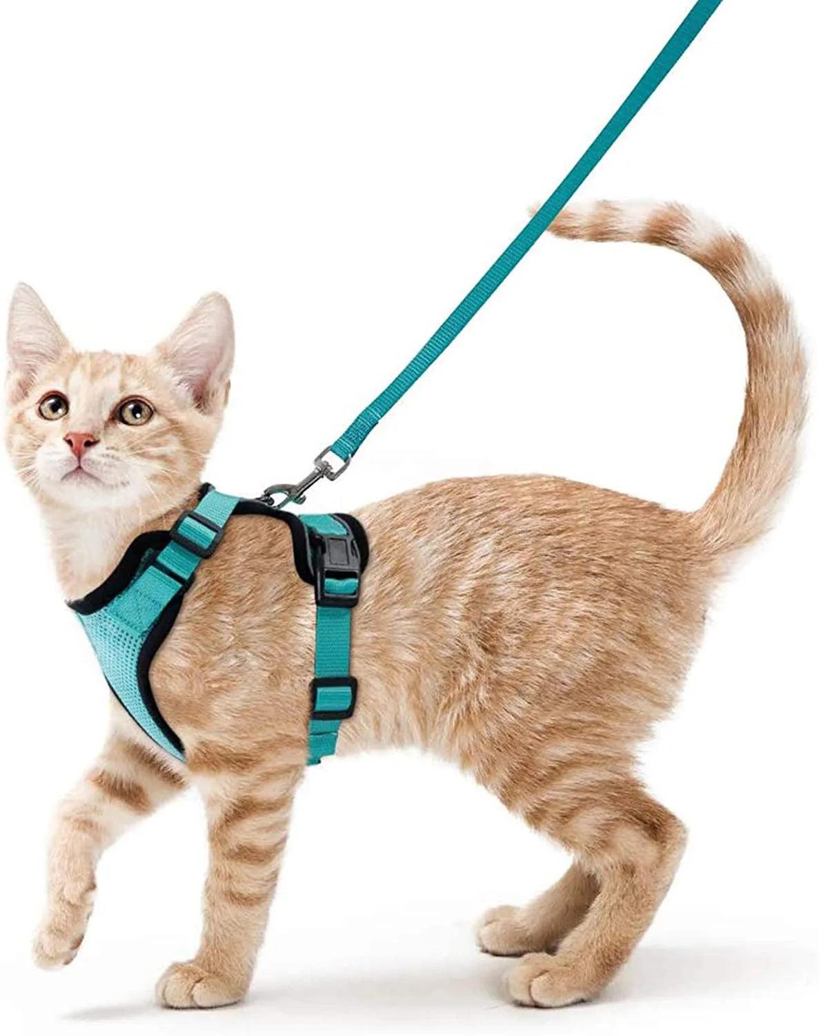 Cat Harness and Leash for Walking - pawpallet