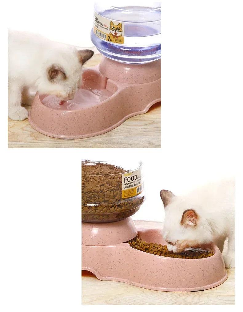 2-in-1 Pet Feeding Bowl - pawpallet