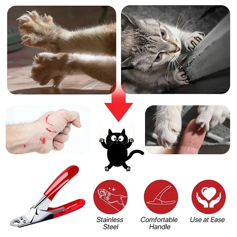 Professional Stainless Steel Pet Nail Trimmer - pawpallet