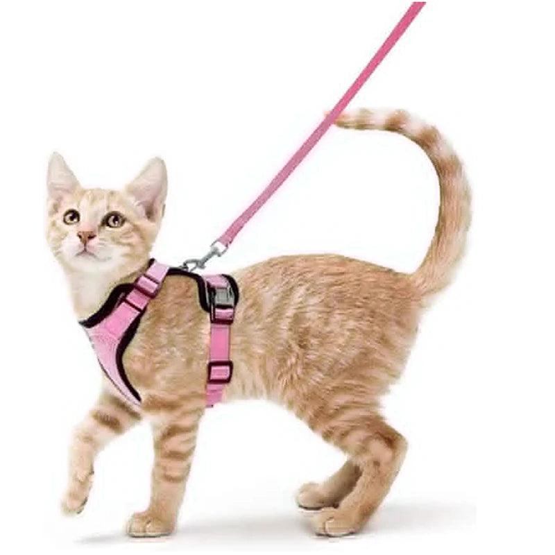 Cat Harness and Leash for Walking - pawpallet