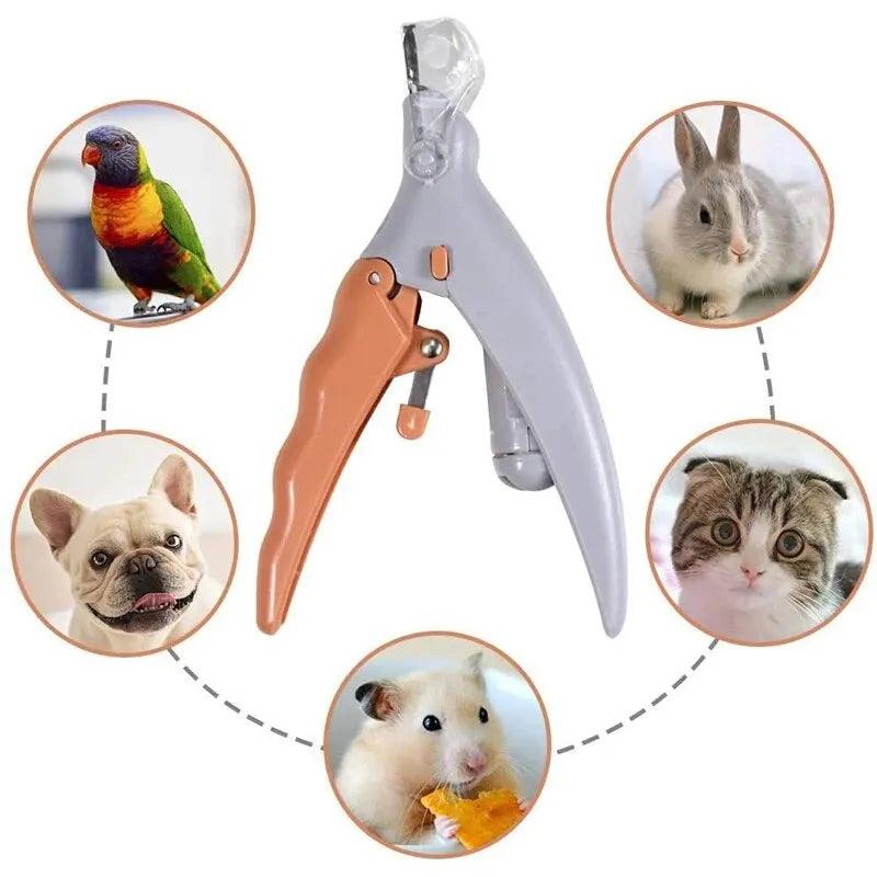 LED Light Pet Nail Clipper & Trimmer - pawpallet