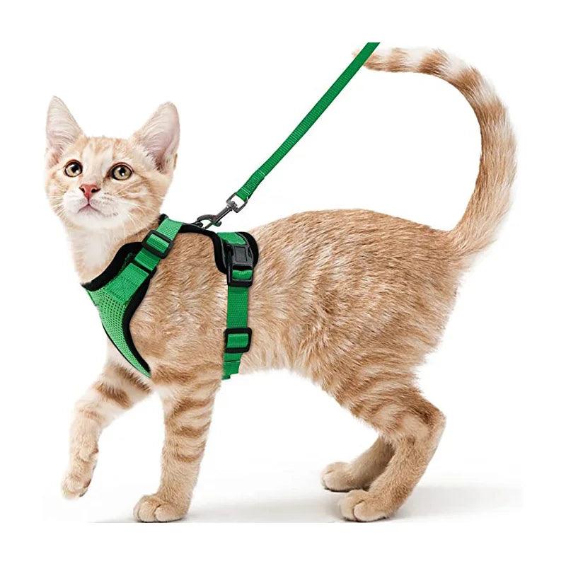 Cat Harness and Leash for Walking - pawpallet