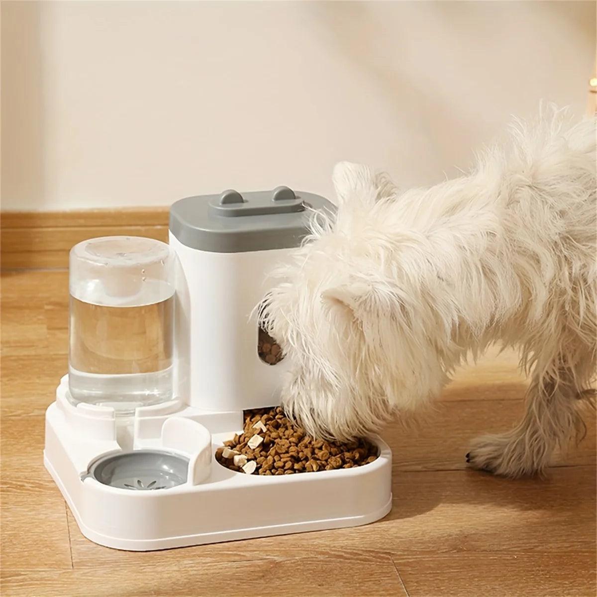 Automatic Pet Feeder & Water Fountain - pawpallet