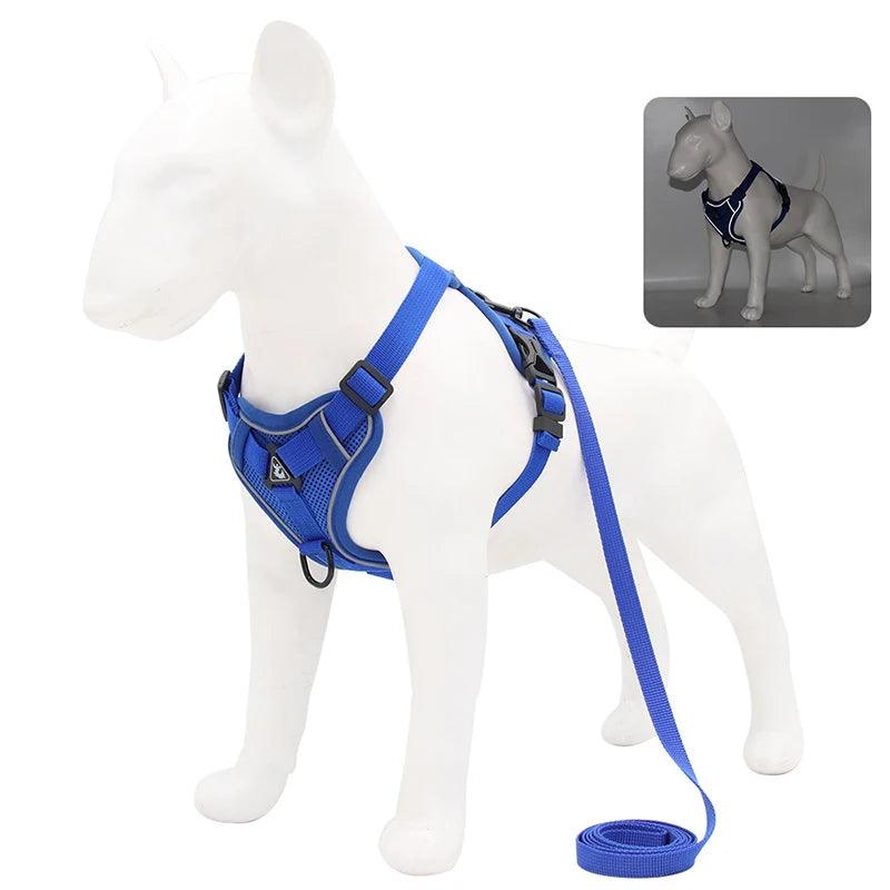 No-Pull Harness & Leash Set for Small Dogs - pawpallet