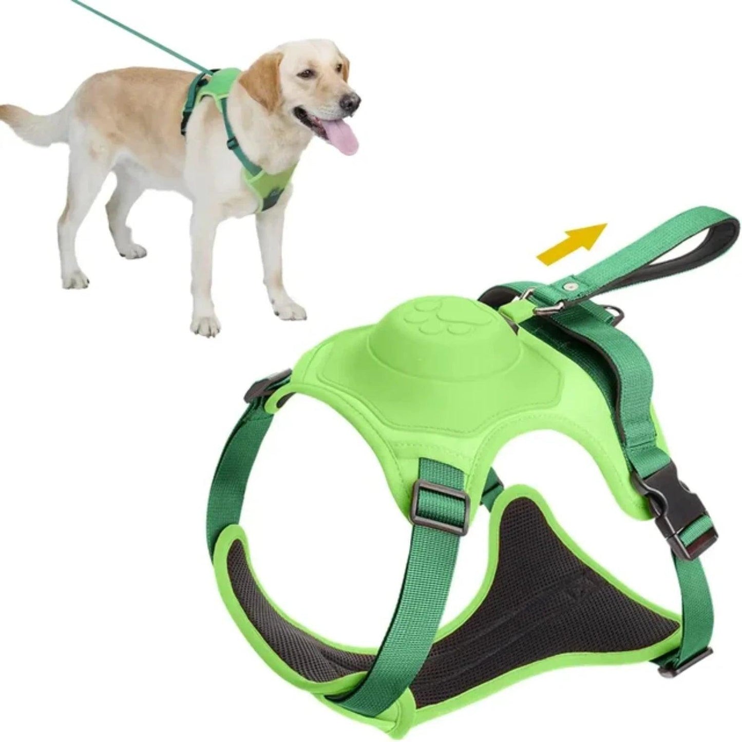 Anti-Burst Dog Harness Set - pawpallet