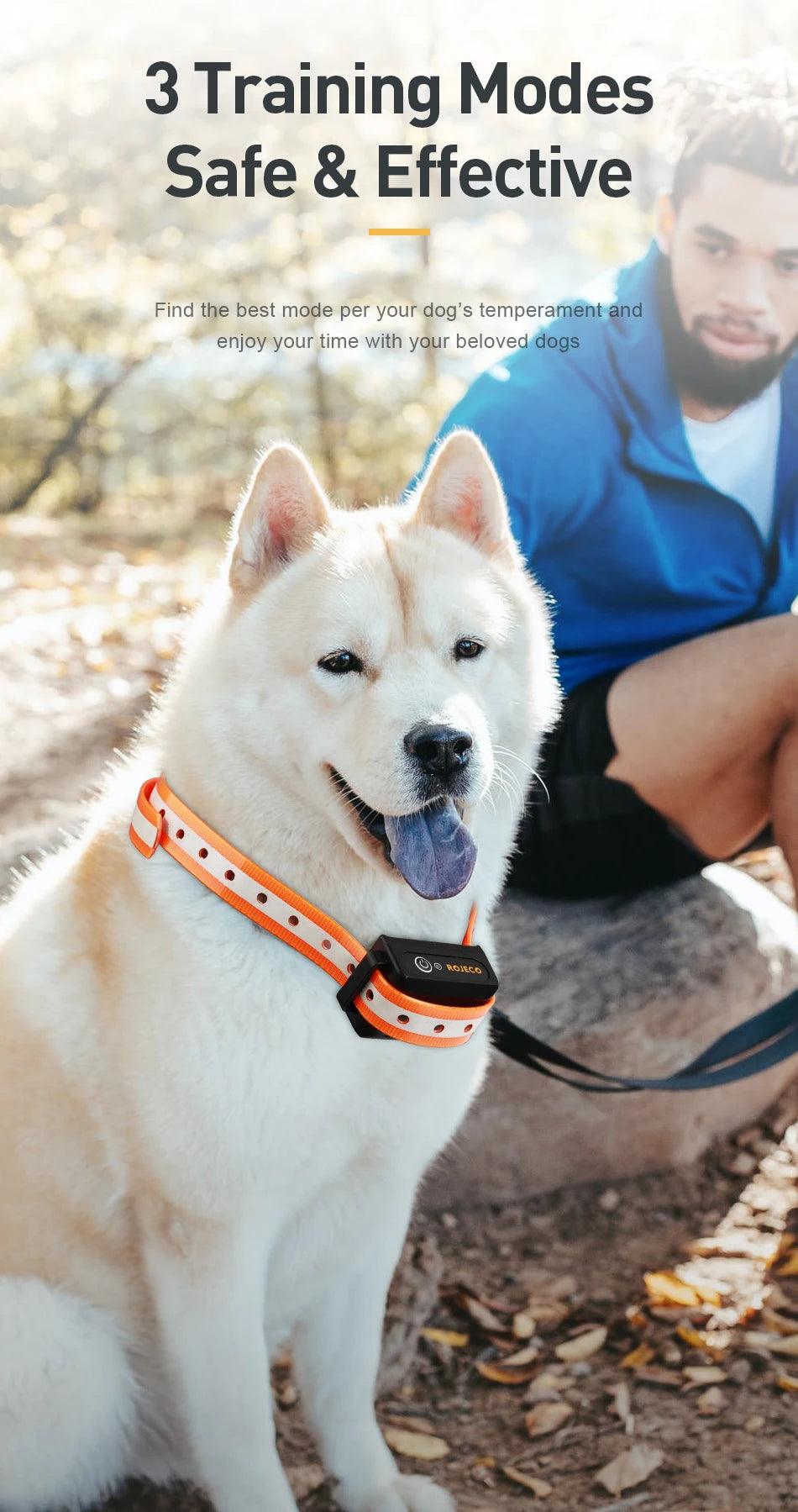 Dog Training Collar - pawpallet