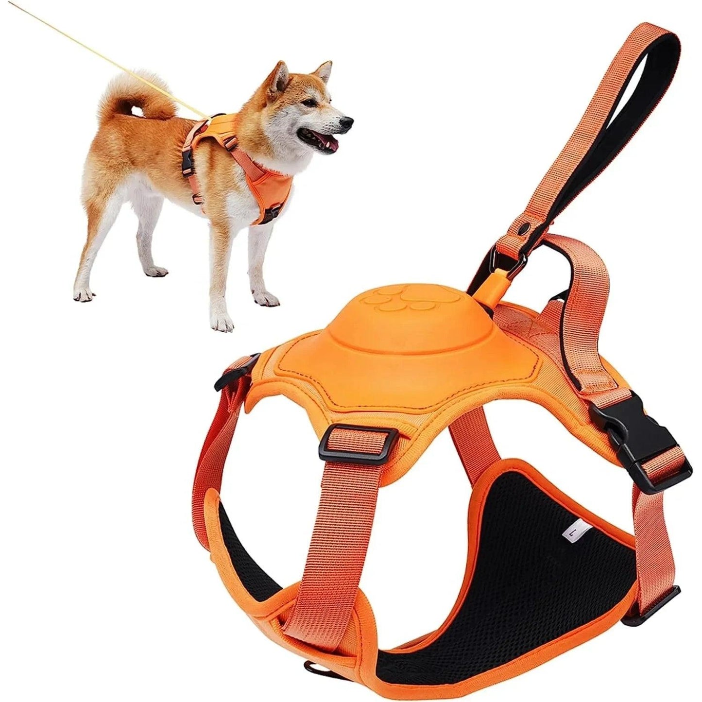 Anti-Burst Dog Harness Set - pawpallet