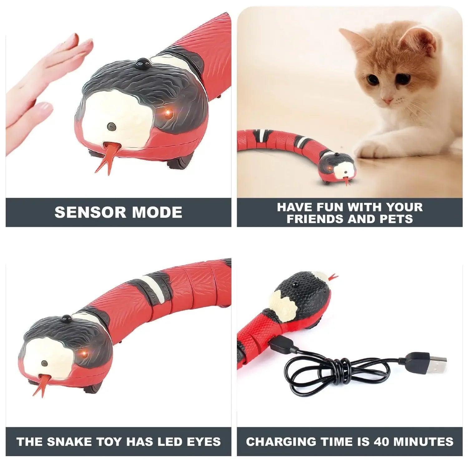 Smart Sensing Electronic Snake Toy for Cats - pawpallet