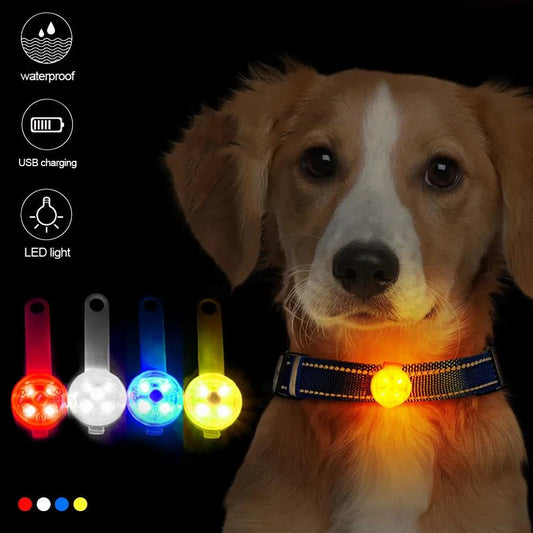 LED Flashing Light Pendant – Waterproof Pet Collar - pawpallet