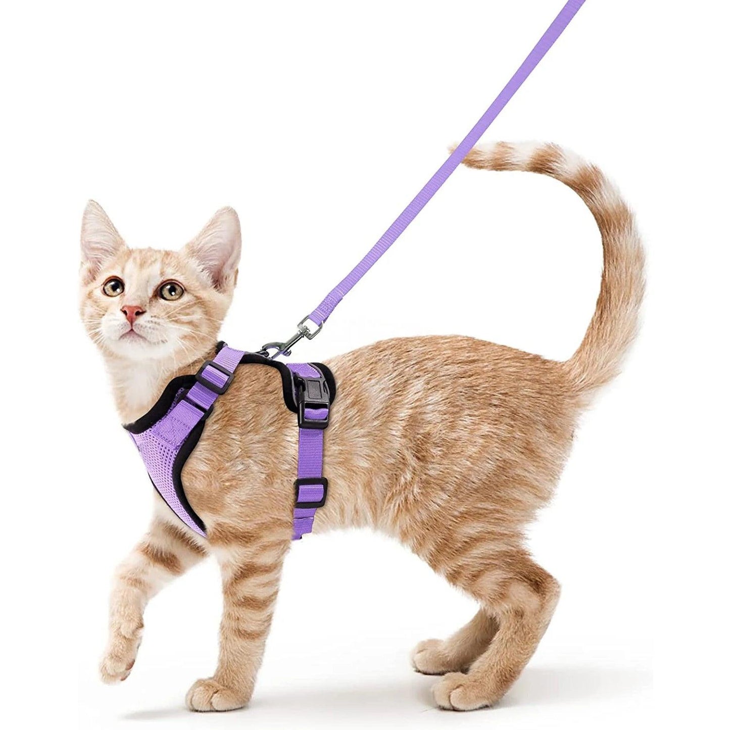 Cat Harness and Leash for Walking - pawpallet