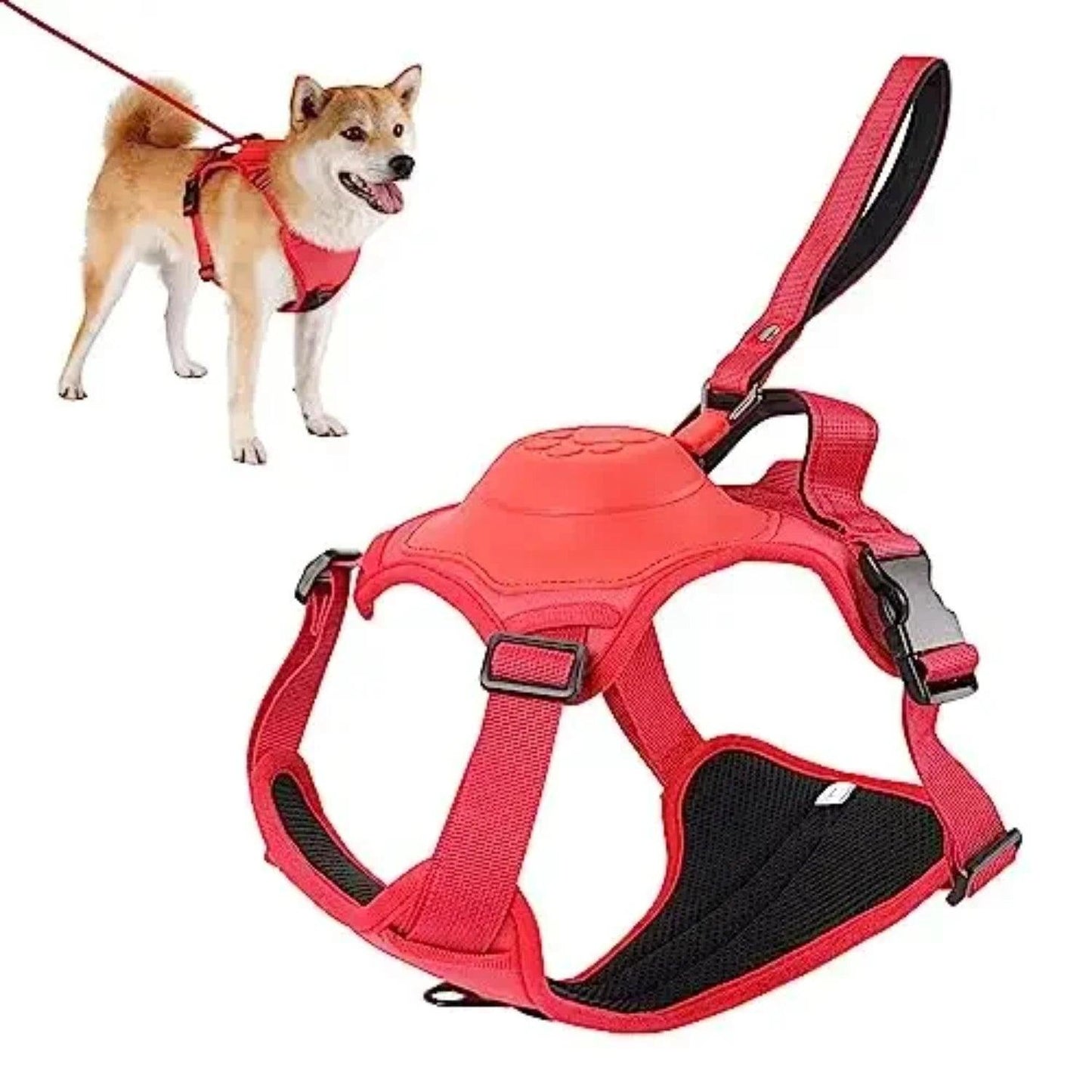 Anti-Burst Dog Harness Set - pawpallet