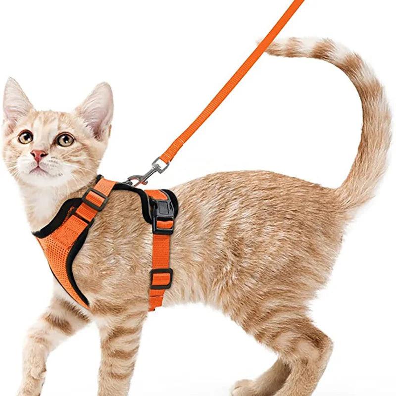 Cat Harness and Leash for Walking - pawpallet