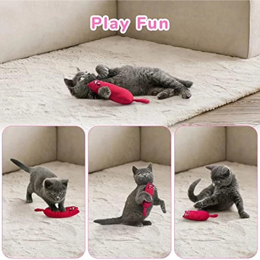 Funny Catnip Chew Toy for Cats & Kittens - pawpallet