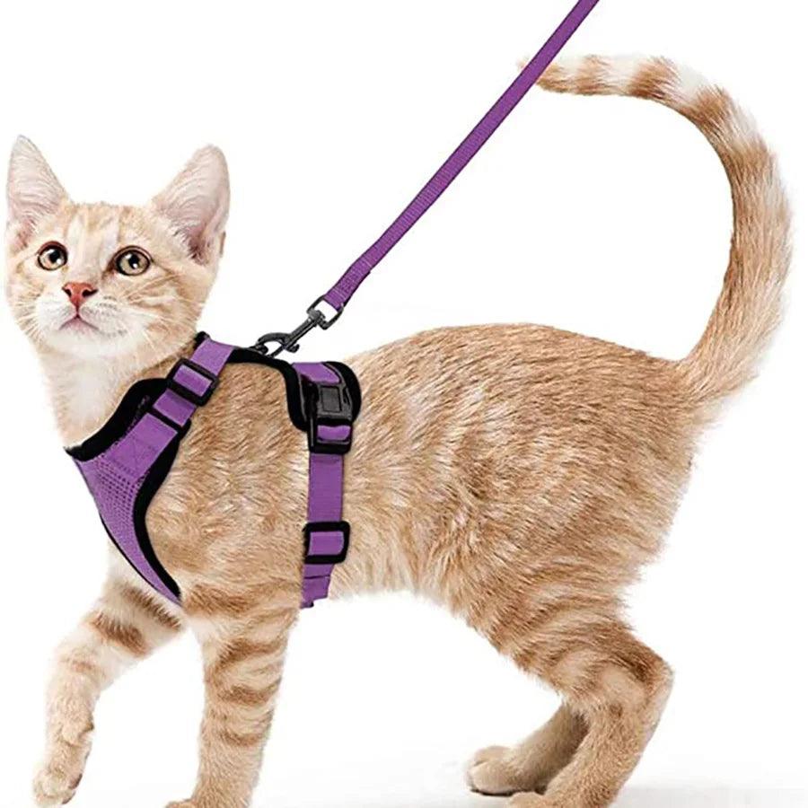 Cat Harness and Leash for Walking - pawpallet